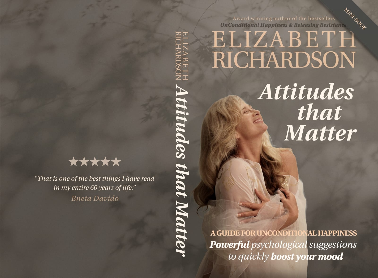 attitudes that matter for the fastest results (ebook)