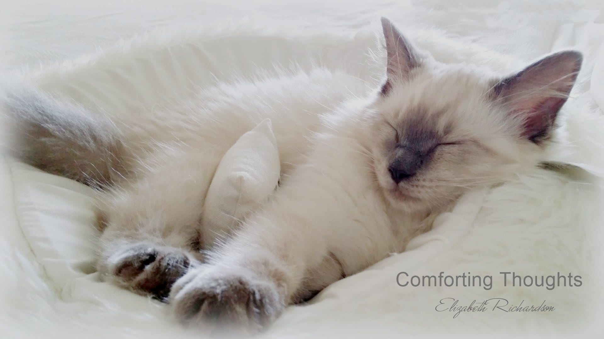 comforting-thoughts POSTER