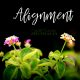 Getting Into Alignment