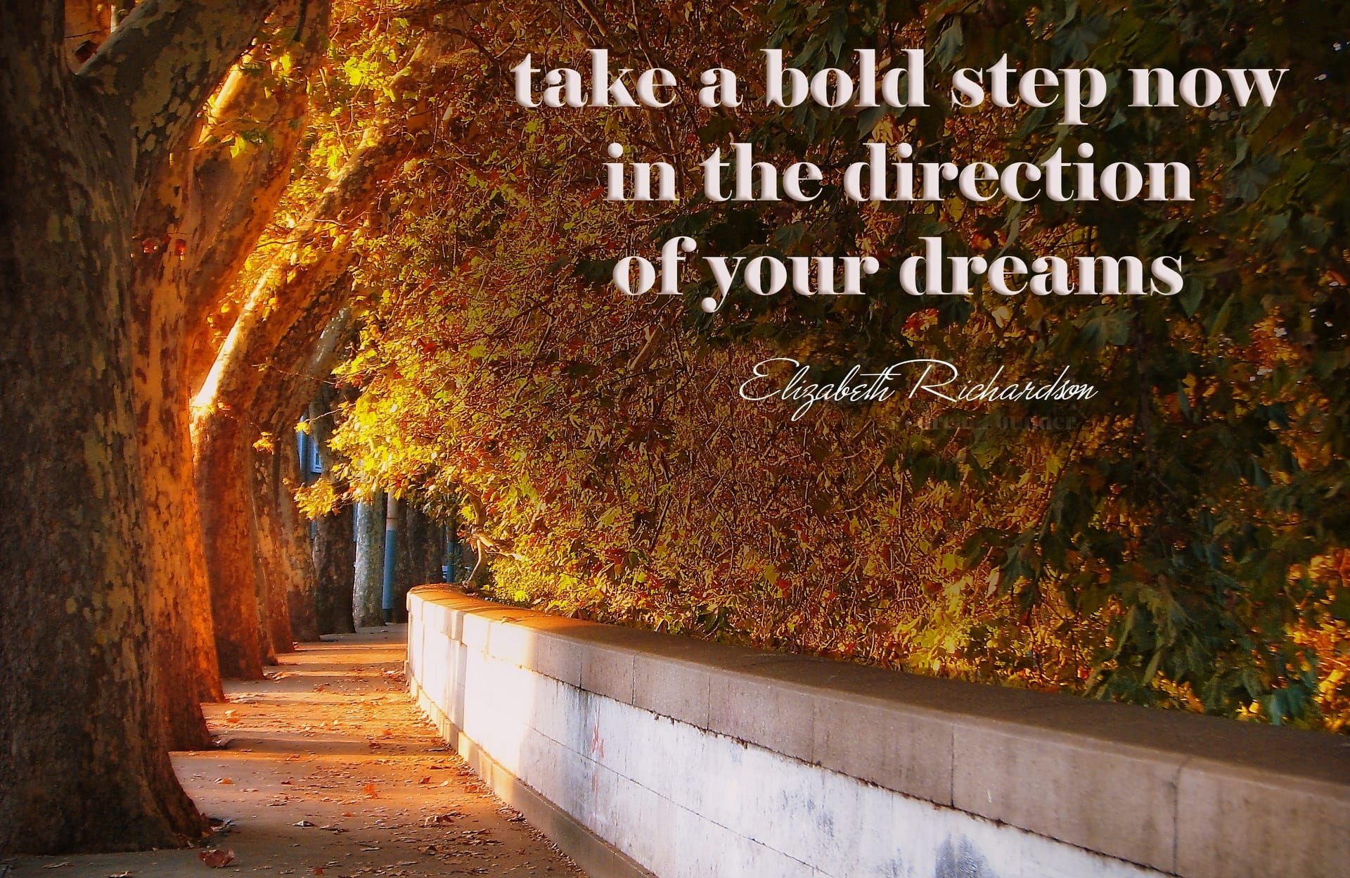 take-a-bold-step POSTER