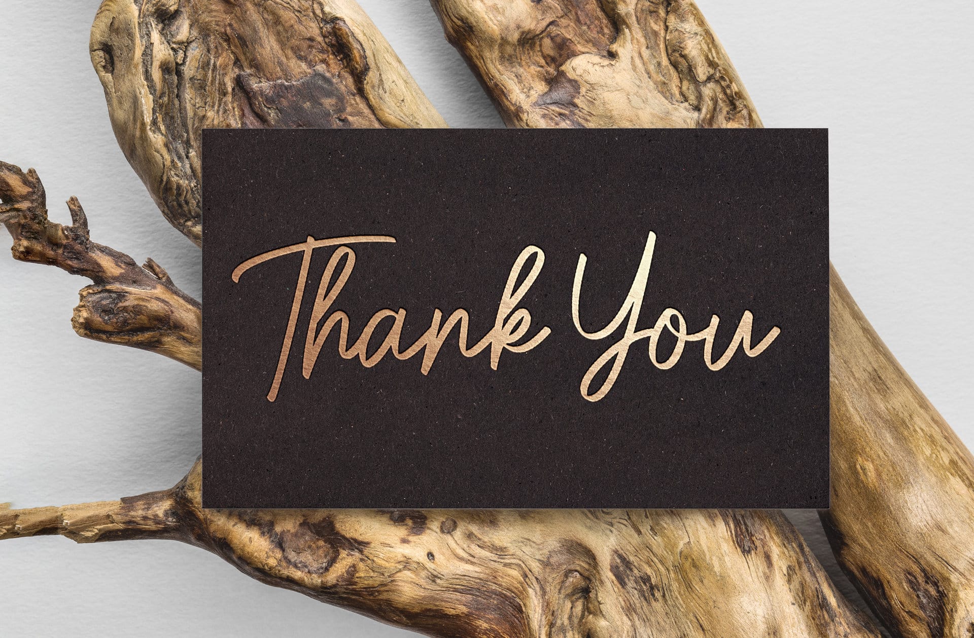 thanking-the universe POSTER