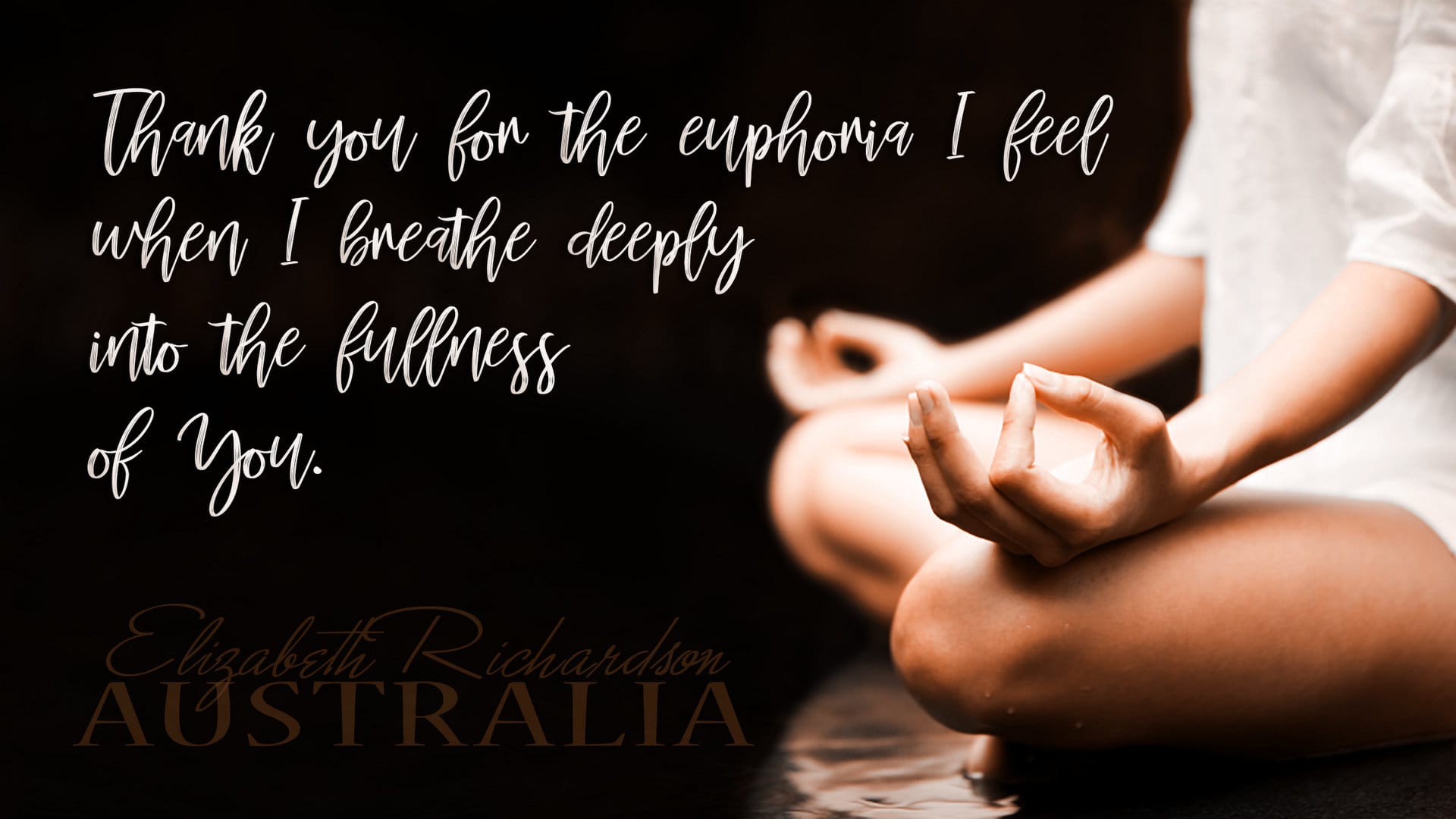 thankyou-for-the-euphoria POSTER