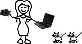 this-is-elizabeth-working